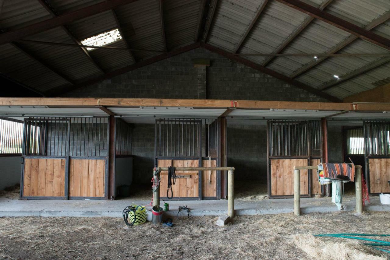 Boeren Biezen Bed Landelijk Villa Exterior foto