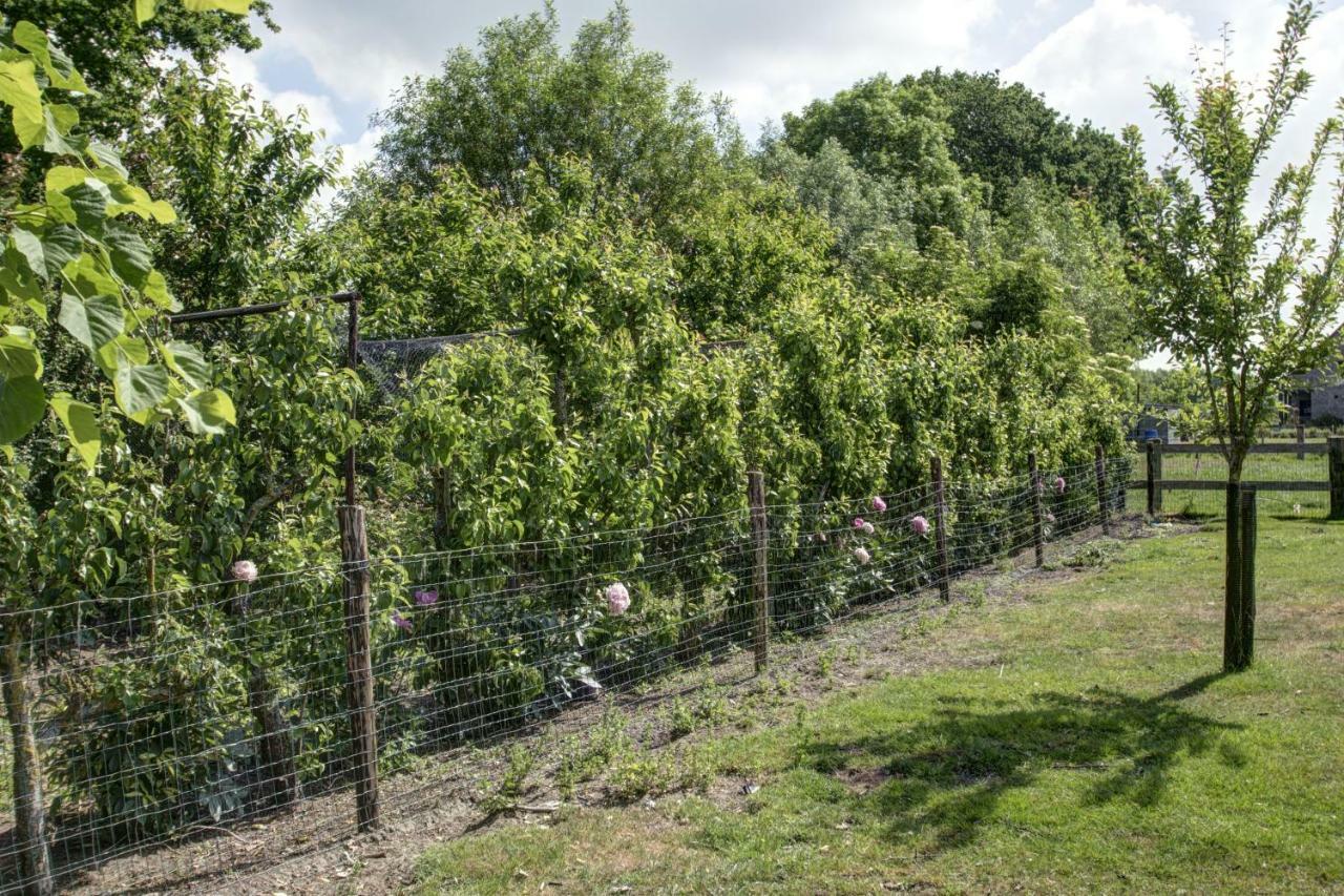 Boeren Biezen Bed Landelijk Villa Exterior foto